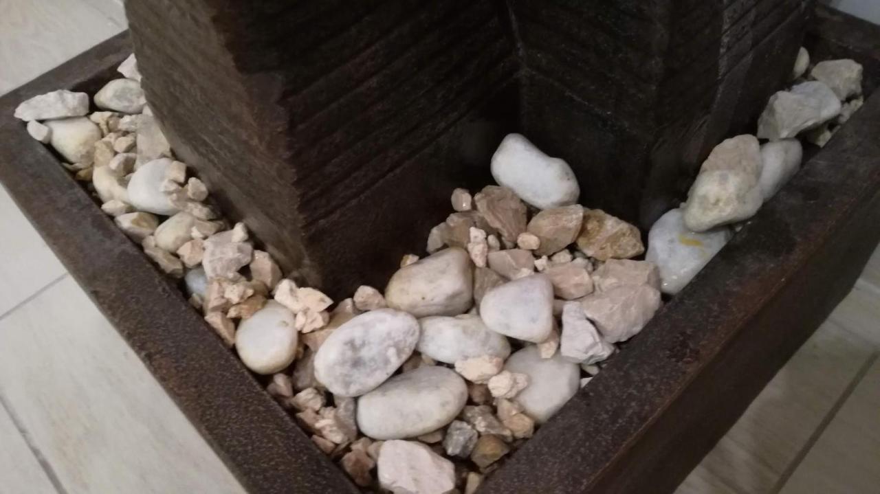 Bonsai * Fiumicino